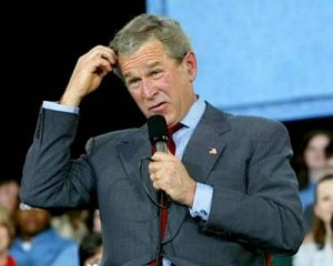 Confused-Bush