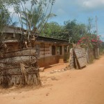 Jaffna-land