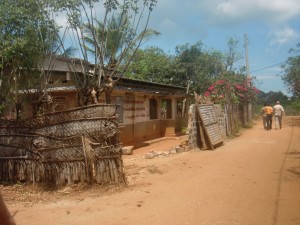 Jaffna-land