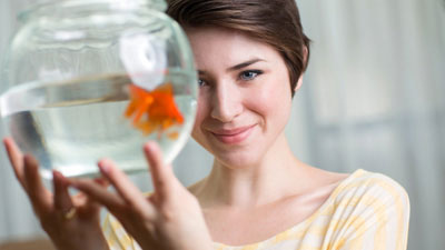 gold-fish