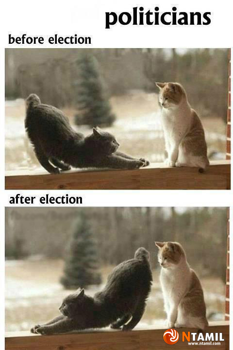 politicians