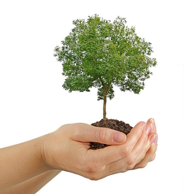 tamil-news-tree