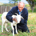 74-years-old-man-Goat