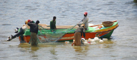 fisherman
