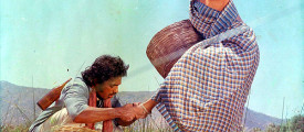 16-Vayathinilae