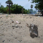 Cremation