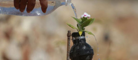 Palestine