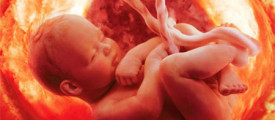 baby-heart