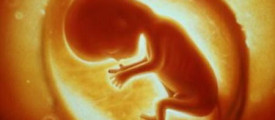 baby5