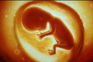 baby5