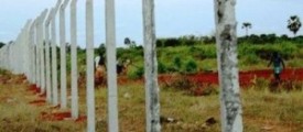 kadduvan