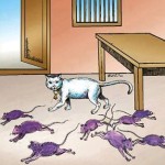 mouse
