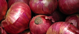 onion