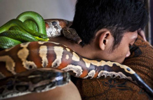 snake-massage