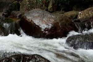 waterfall