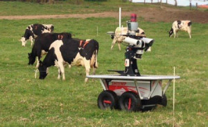 cow-robo