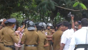 jaffna-demo2