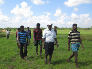land-ravi5