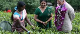 prince_charles_in_sri_lanka_tea_estate