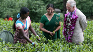 prince_charles_in_sri_lanka_tea_estate