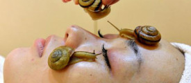 snail-massage