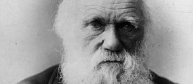 Charles-Darwin