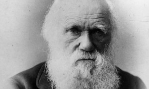 Charles-Darwin