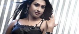 Vidya
