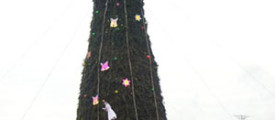 christmas-tree