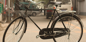 cycle