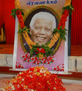 nelson-mannar