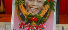 nelson-mannar