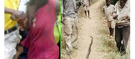 snake-gana