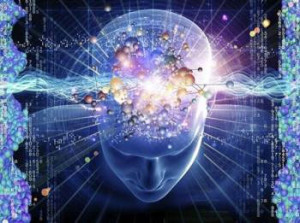 brain2
