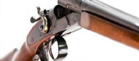gun5