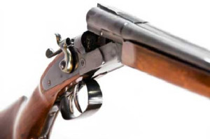 gun5
