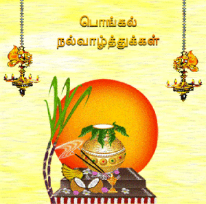 pongal-greetings