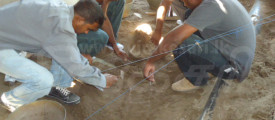 manar 4