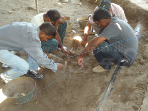 manar 4