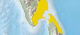 tamilen