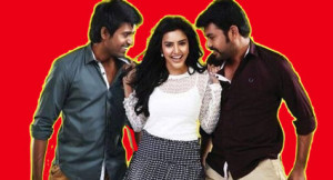 vimal
