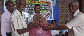 onion-help