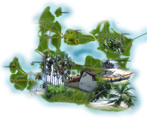 pungudutheevu