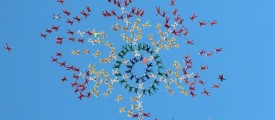 sky-fly