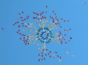 sky-fly