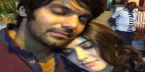 arya-hansiga