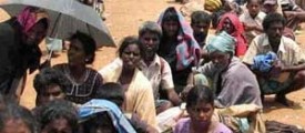 lankan-refugees