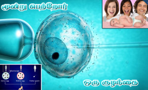 Three-Parent-In-Vitro-Fertilzation