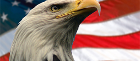 USA-Flag-and-Eagle