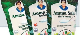 amm-salt